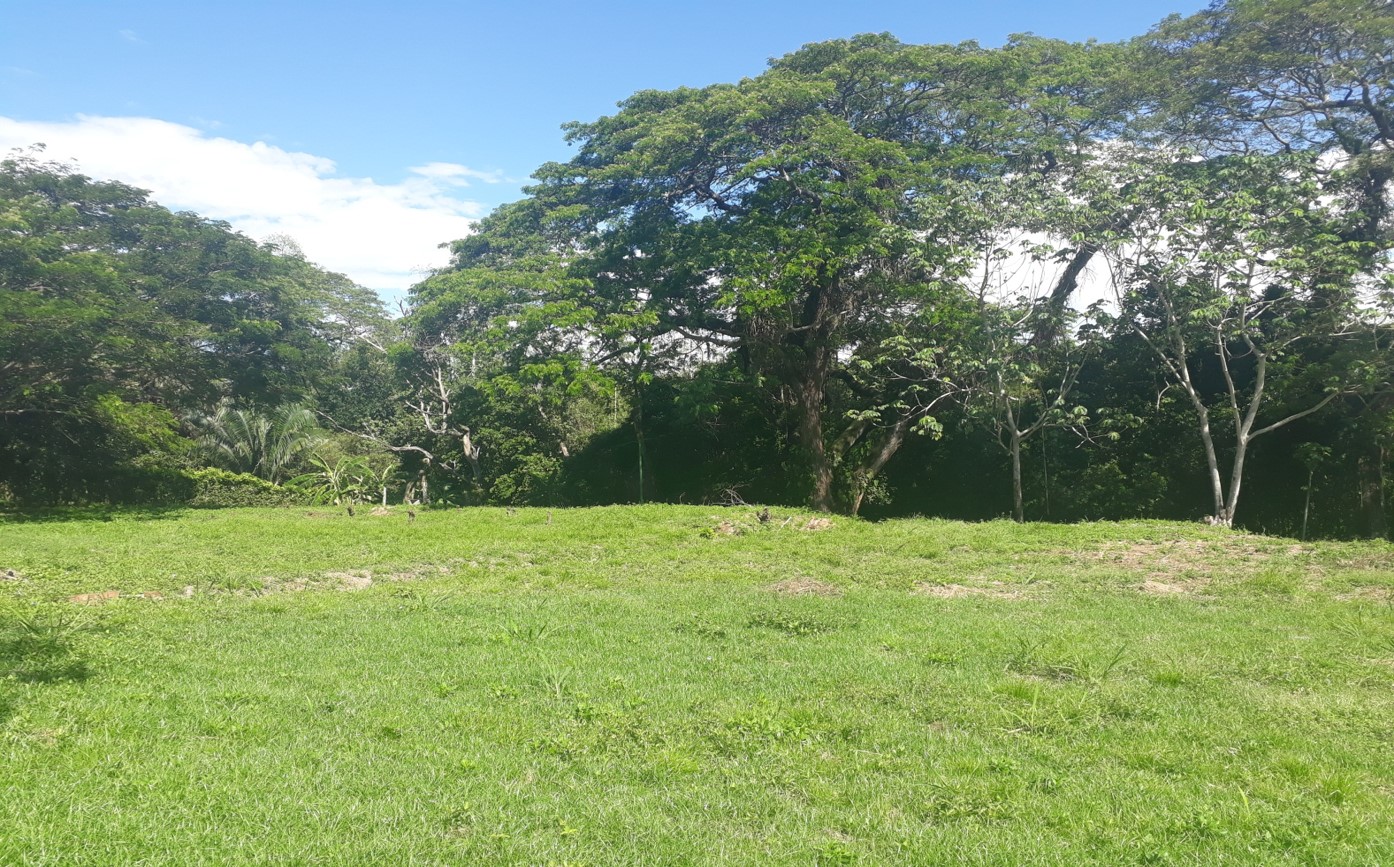 Imagen4